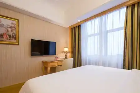 Vienna (Shenzhen Lilang Wanguocheng) - 14