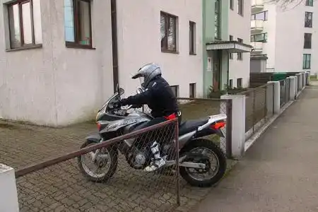 Artis - 4