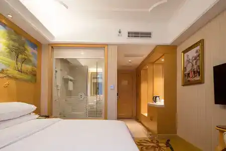 Vienna (Shenzhen Lilang Wanguocheng) - 10