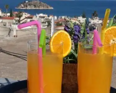 Lido Tolo - 15