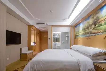 Vienna (Shenzhen Lilang Wanguocheng) - 26