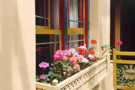 Tashitakge - 1