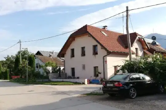 Bernard - 1