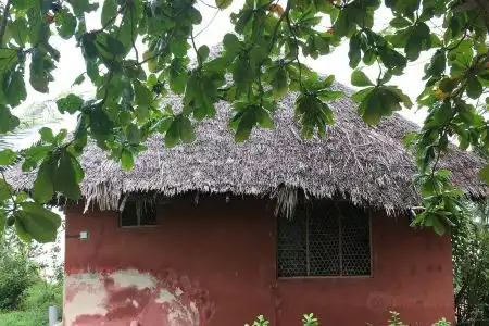 Kidoti Wild Garden