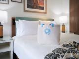 City View King Room