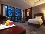 Deluxe Business 2-bed Room
