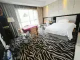 Elegant Casual Chess and card room
