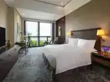 Deluxe River-view Queen Room