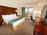 Luxury King Suite With City View