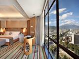 Deluxe Suite - with View