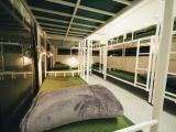 Bed in Mixed Dormitory