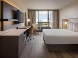 Accessible Deluxe King Room