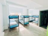 Shared Dormitory, Mixed Dorm, Private Bathroom (1 Bed In A 8 Beds Dorm)