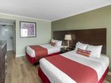 Comfort Single Room, 2 Queen Beds, Non Smoking, Beach View
