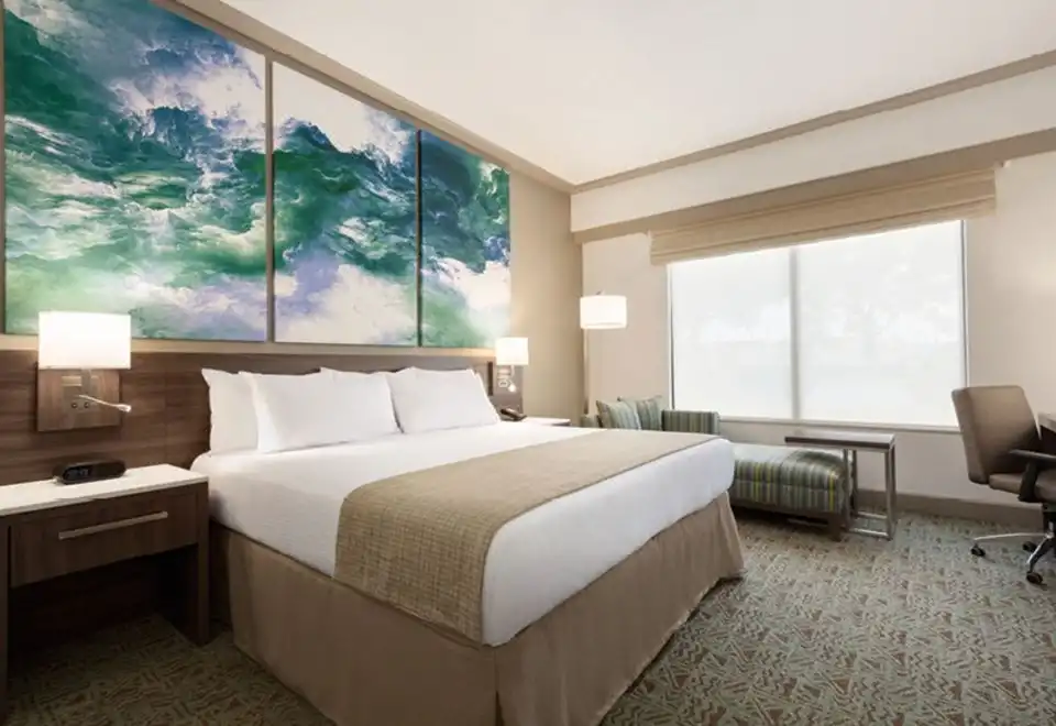 Room, 1 King Bed, Accessible (King Accessible Suite)