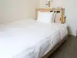 Non-smoking Semi-double Room