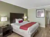Comfort Room, 1 King Bed, Non Smoking, Beach View