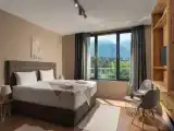 Deluxe Room-Non-Smoking