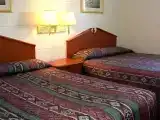 Suite One-Bedroom Kitchenette