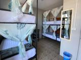 Bed In 4-Bed Mixed Dormitory Ensuite