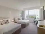 Deluxe Room With Mountain View