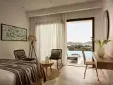 Deluxe Infinity Suite with Private Pool