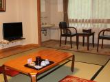 Japanese Room, Mountain View, Non-Smoking (10 Tatami)