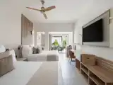Preferred Club Junior Suite Swim-Out Double