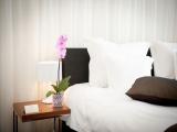 Double Room for Single Use with Sea View