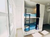 Shared Dormitory, Mixed Dorm, Private Bathroom (1 Bed In 4 Beds Dorm)