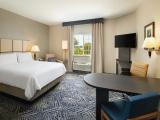 One-Bedroom King Suite