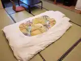 Japanese Style Room (20 Tatami Mats)