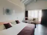 Superior Double Room With Balcony And Mountain View