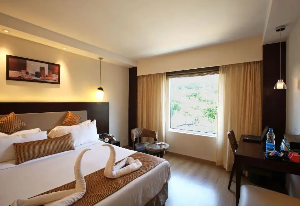 Executive Queen Room