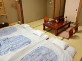 Japanese Room(Ages 7+Only)