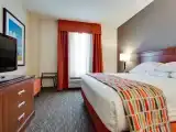 Suite, 1 King Bed With Sofa Bed (Sofa Sleeper, 2 Rooms)