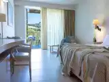 Superior Double/Twin Room Pool View