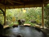 Japanese-Style Room with Open-Air Bath (Main Building)