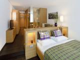 Panoramic Double Room, Balcony (Deluxe Incl. SPA Entrance)