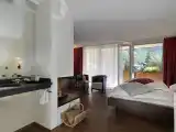 Junior Suite With Mountain View