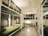10-Bed Mixed Dormitory Room