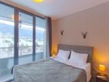 Deluxe One-Bedroom Apartment