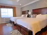 Premier Studio Suite