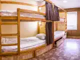 Bed in 4-bed Female Dormitory Room