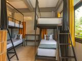 Bed In 4-Bed Mixed Dormitory