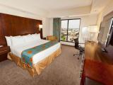 Accessible Luxury King Suite with City View
