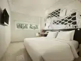 Cozy Double Room