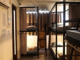 Bunk Bed In Mixed Dormitory Room