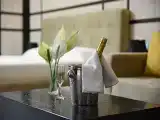 Deluxe Suite with SPA Bath