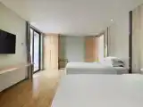 Deluxe Family Villa Suite - 2-Bedroom